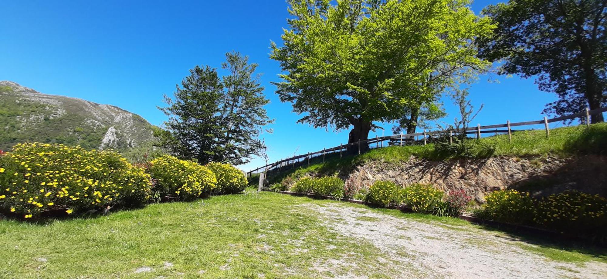 Ondarbaso Apartamentos Rurales I Zestoa Eksteriør billede